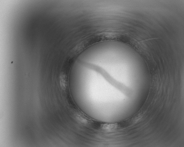 X0000072490135200607290049