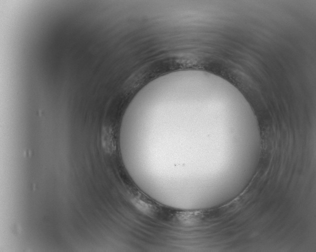 X0000072490136200607290049