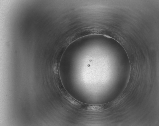 X0000072490137200607290049