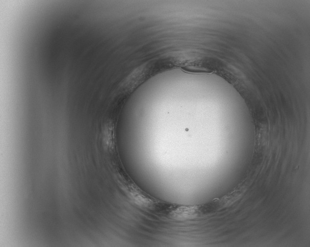 X0000072490138200607290049