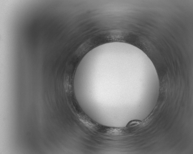 X0000072490140200607290049