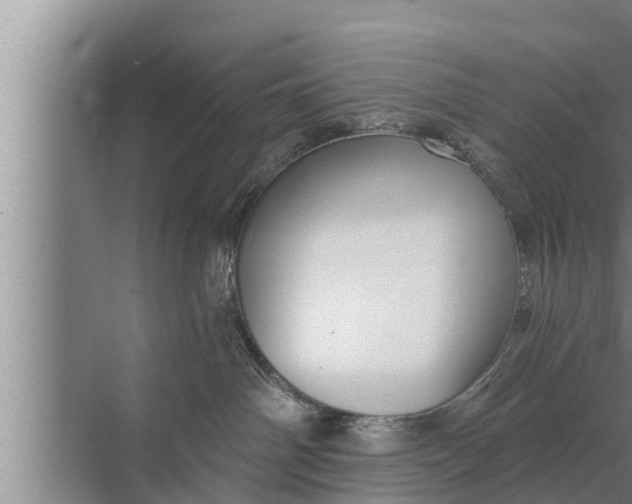 X0000072490142200607290049