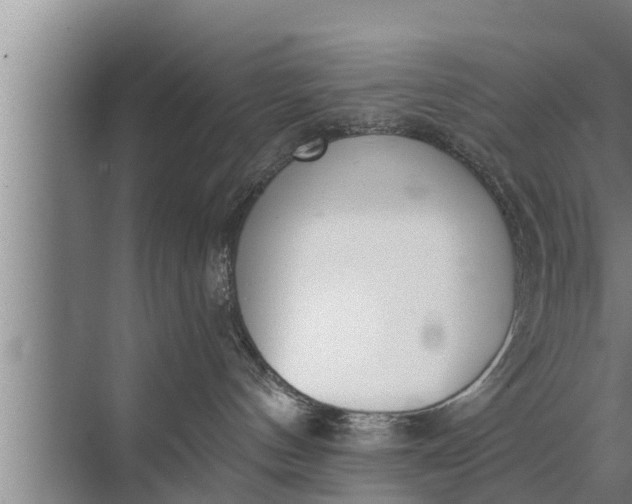 X0000072490144200607290049