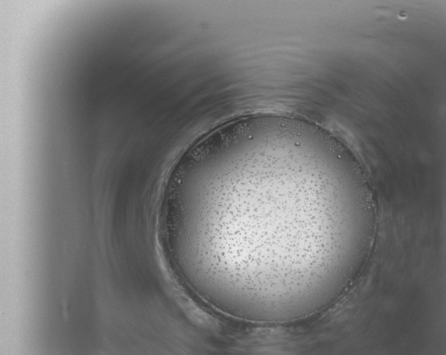 X0000072490145200607290048