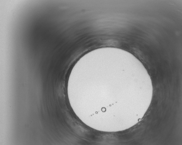 X0000072490146200607290048