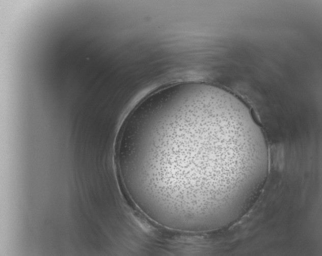 X0000072490147200607290048