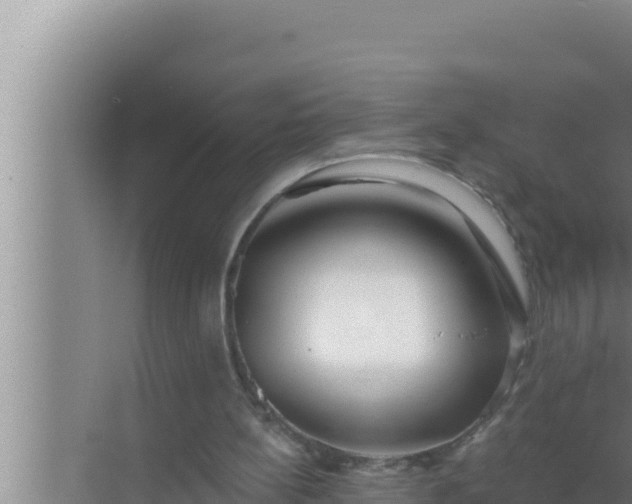 X0000072490148200607290048