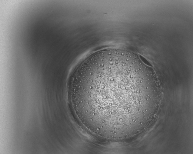 X0000072490149200607290048