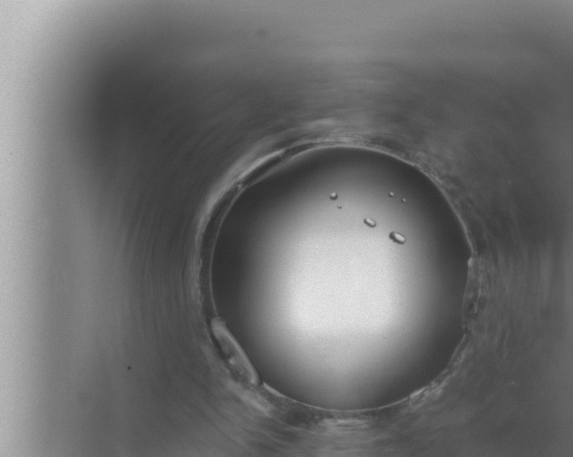 X0000072490150200607290048