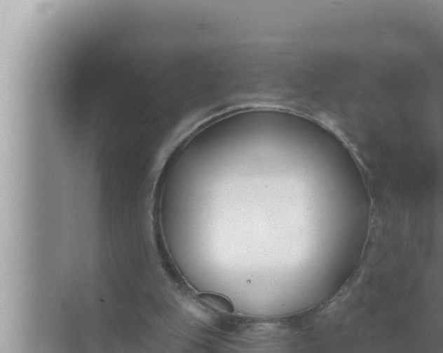 X0000072490151200607290048