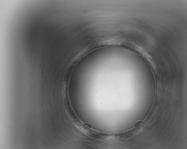 X0000072490153200607290049