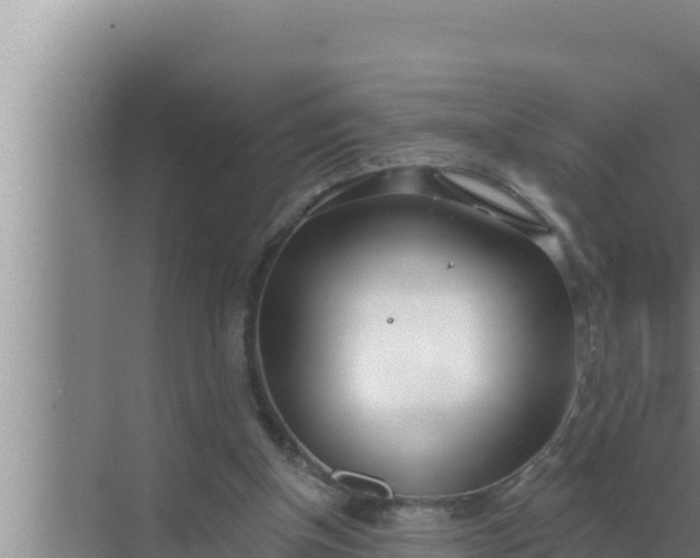 X0000072490154200607290049