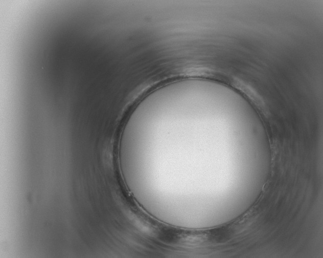 X0000072490155200607290049