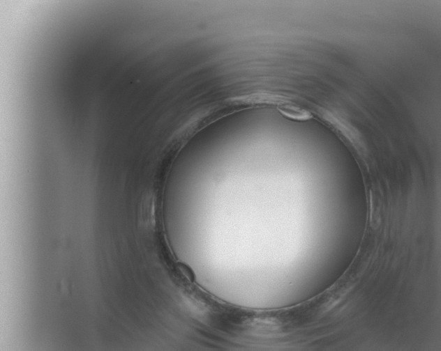 X0000072490157200607290049