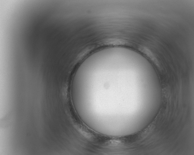 X0000072490159200607290049