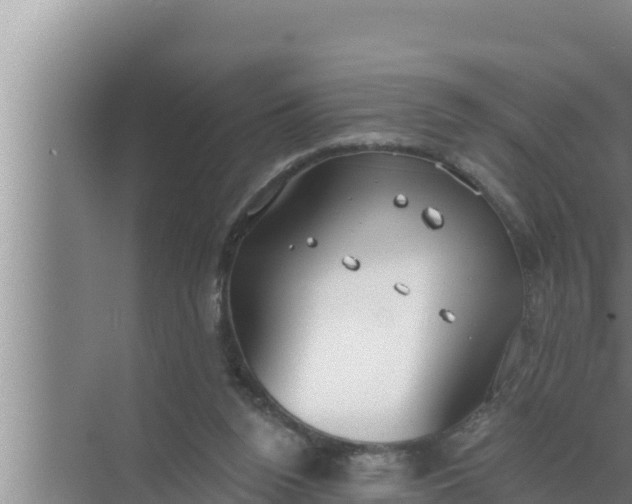 X0000072490160200607290049