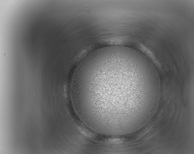 X0000072490161200607290049