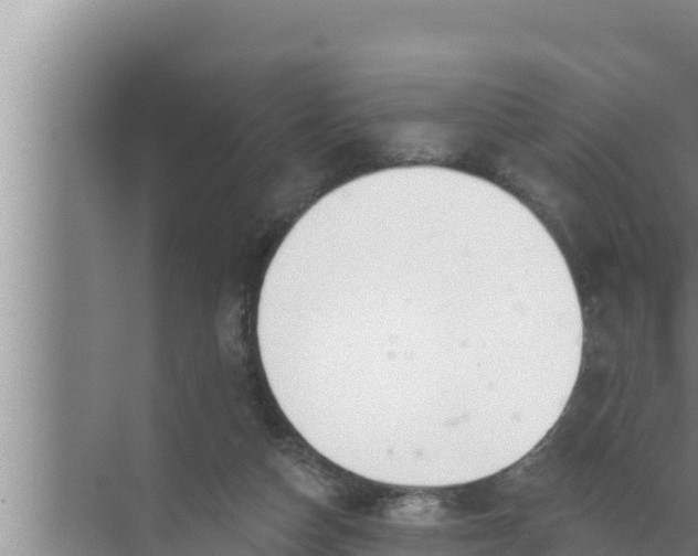 X0000072490162200607290049