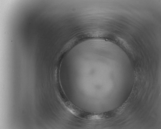 X0000072490163200607290049