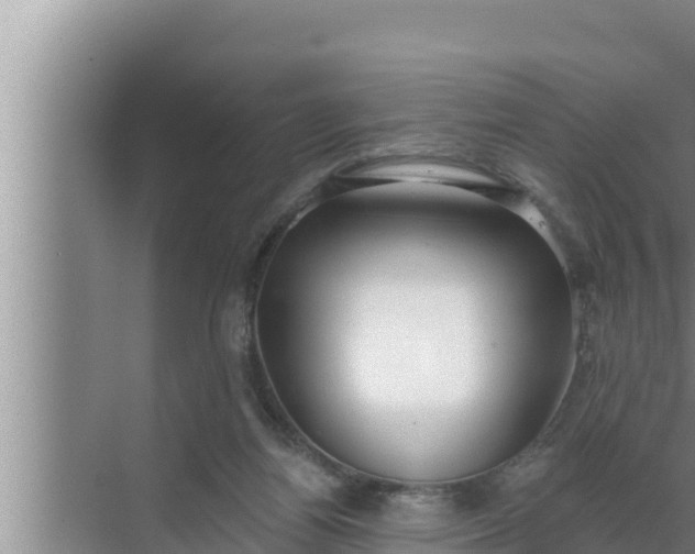 X0000072490164200607290049