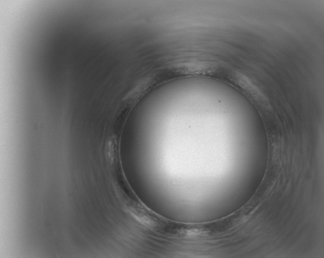 X0000072490165200607290049