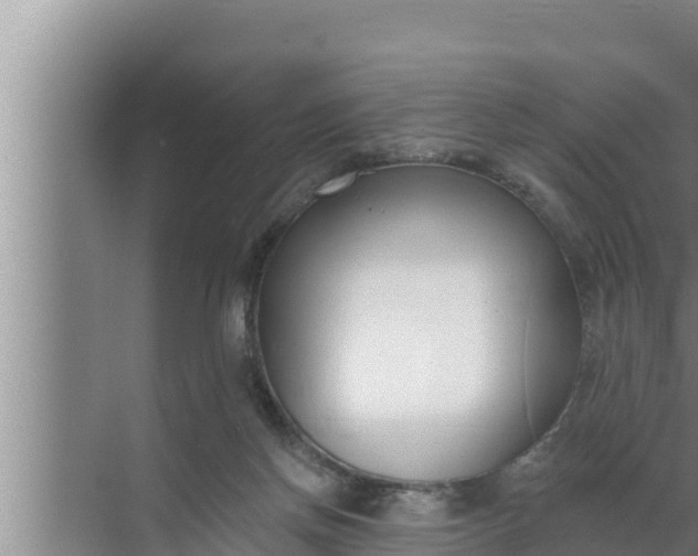 X0000072490166200607290049