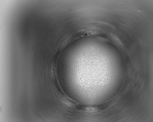 X0000072490169200607290049