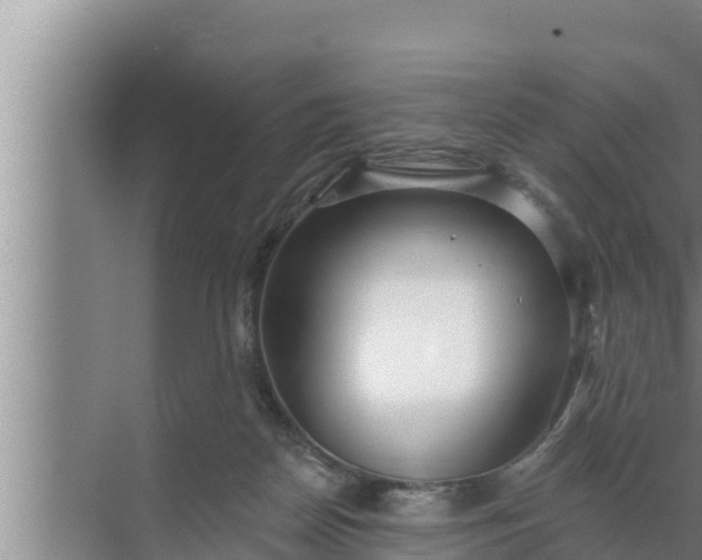 X0000072490170200607290049