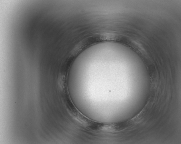 X0000072490171200607290049