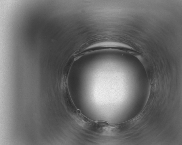 X0000072490172200607290049