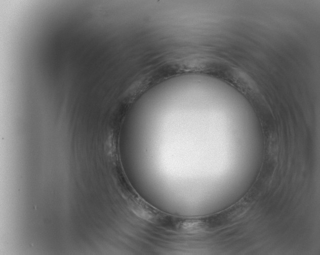 X0000072490173200607290049