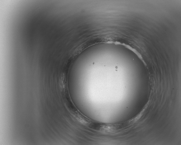 X0000072490174200607290049