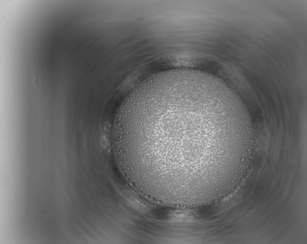 X0000072490175200607290049