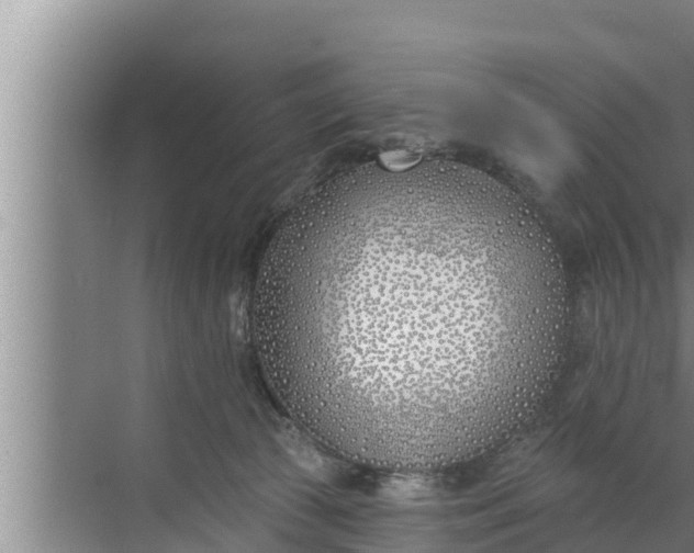 X0000072490177200607290049