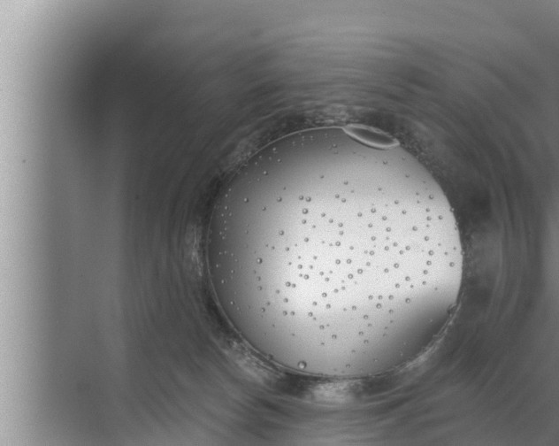 X0000072490178200607290049