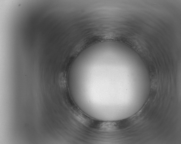 X0000072490179200607290049