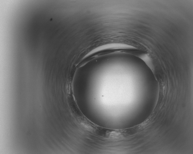 X0000072490180200607290049