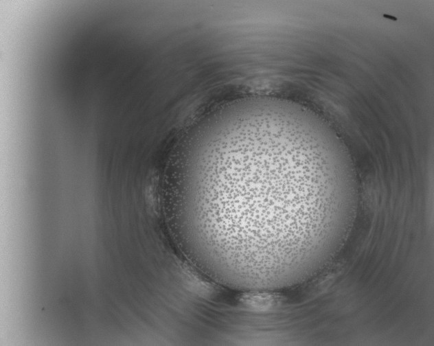 X0000072490181200607290049