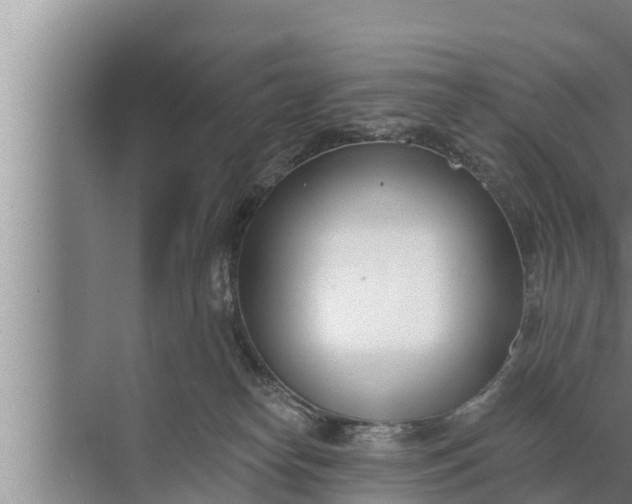 X0000072490182200607290049