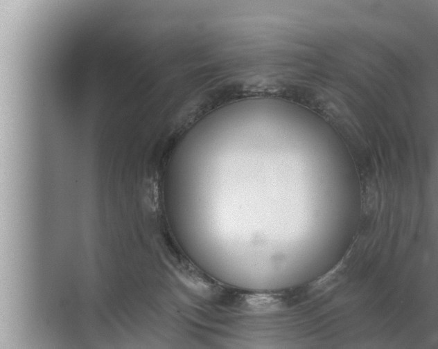 X0000072490183200607290049