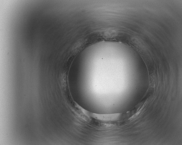 X0000072490184200607290049