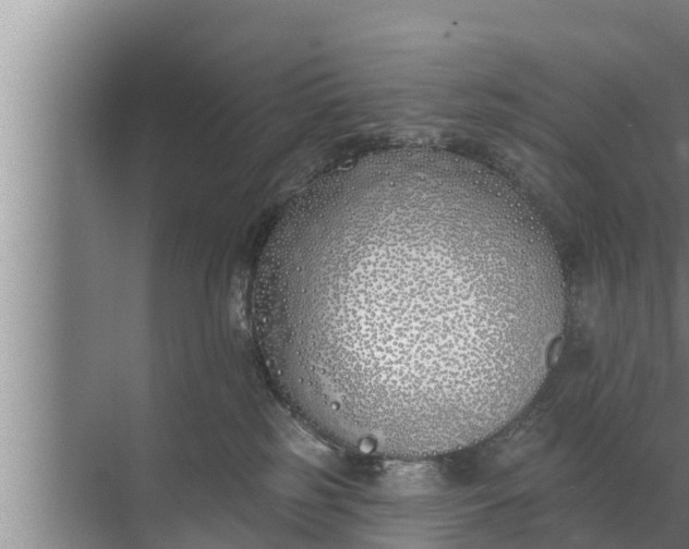 X0000072490185200607290049