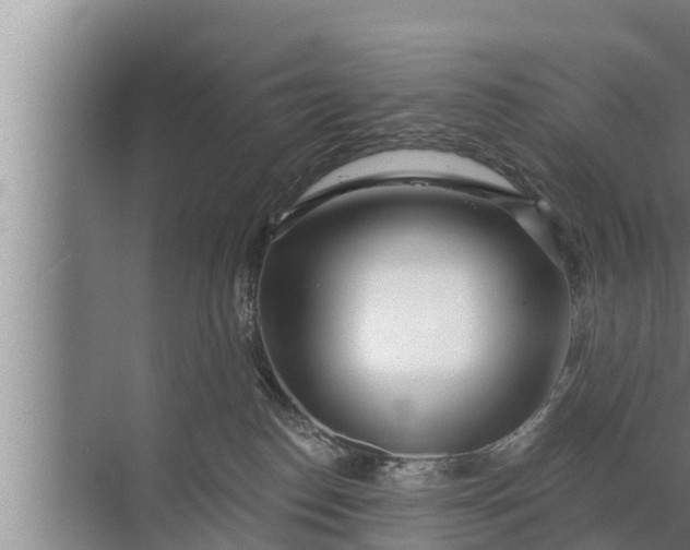 X0000072490186200607290049