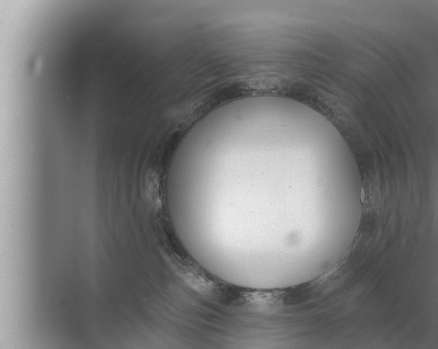 X0000072490187200607290049