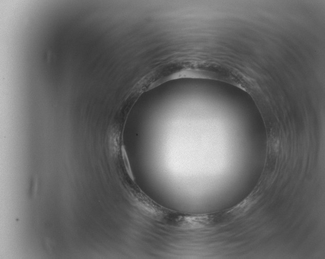 X0000072490188200607290049