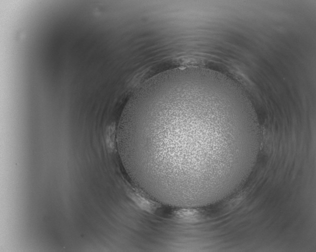 X0000072490189200607290049