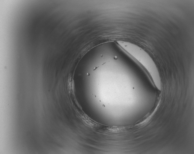 X0000072490190200607290049