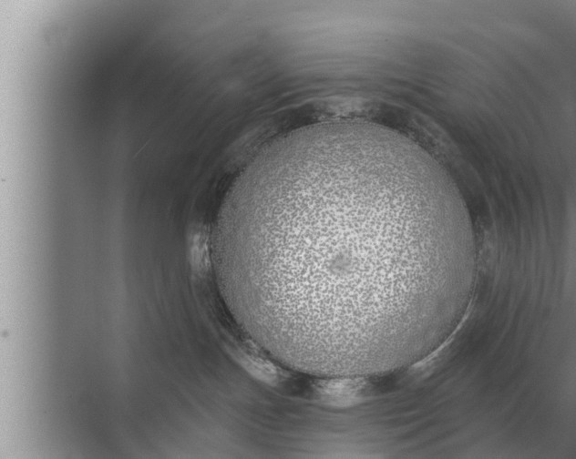 X0000072490191200607290049