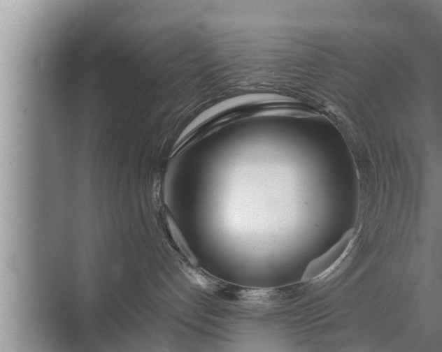 X0000072490192200607290049