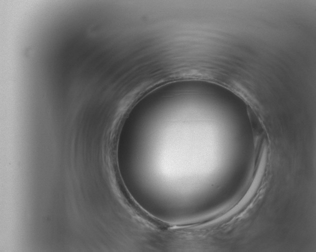 X0000072490193200607290048